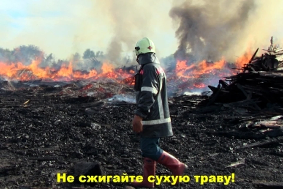 Вопреки рекомендациям МЧС жители Тверской области продолжают поджигать сухую траву. Фото: МЧС РФ по Тверской области