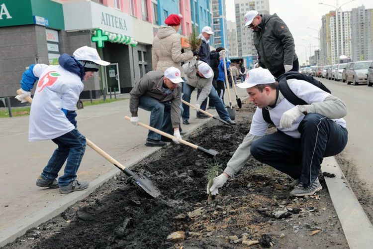 Жители Екатеринбурга посадили «Лес Победы»
