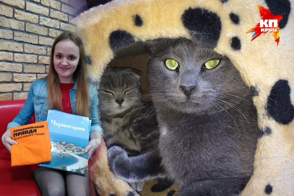 Читатели «Комсомолки» выбрали самую симпатичную кошку Ижевска