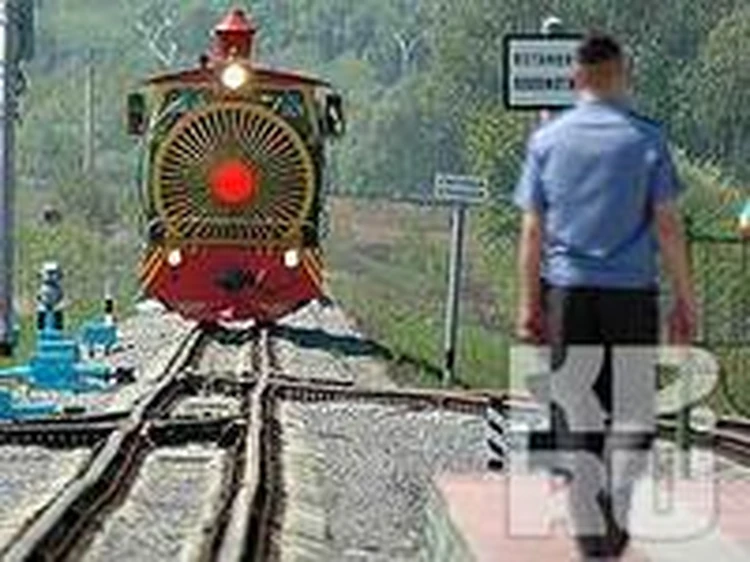 Детская железная дорога пойдет с молотка