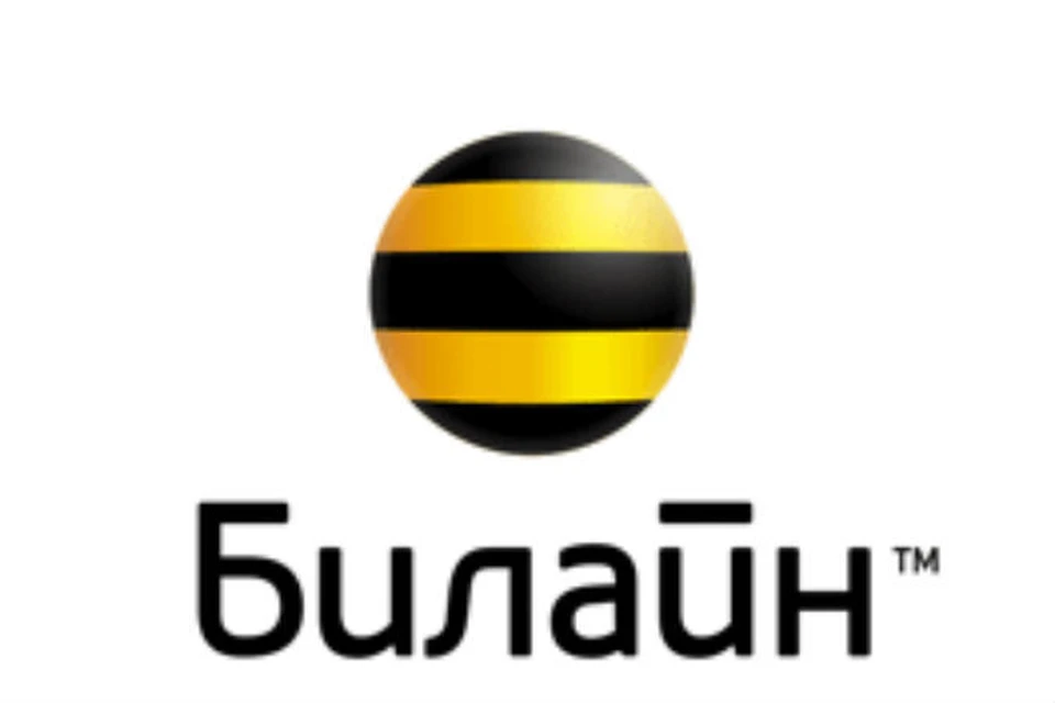 "Билайн" подводит итоги. Фото: "Билайн"