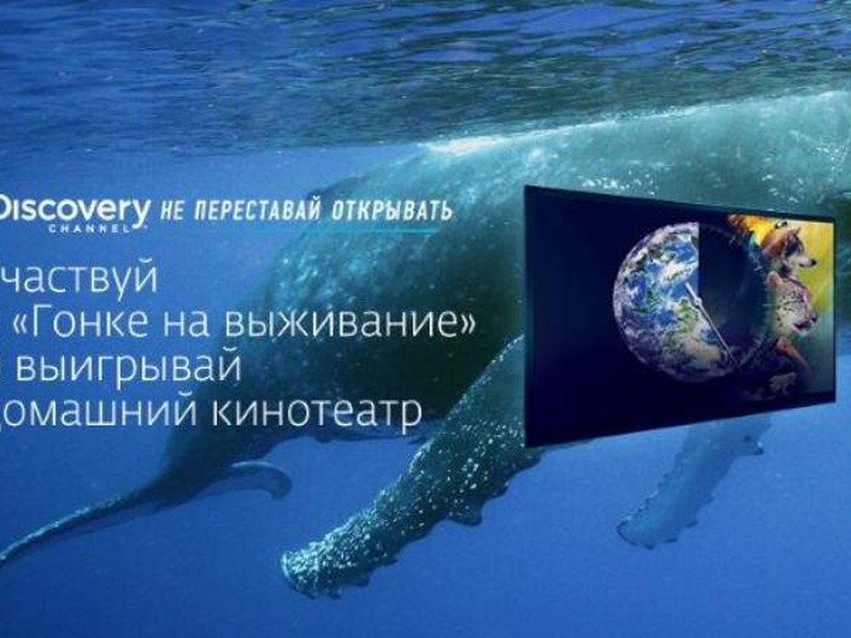 Дом.ru» и Discovery Channel подарят зрителям домашний кинотеатр - KP.RU