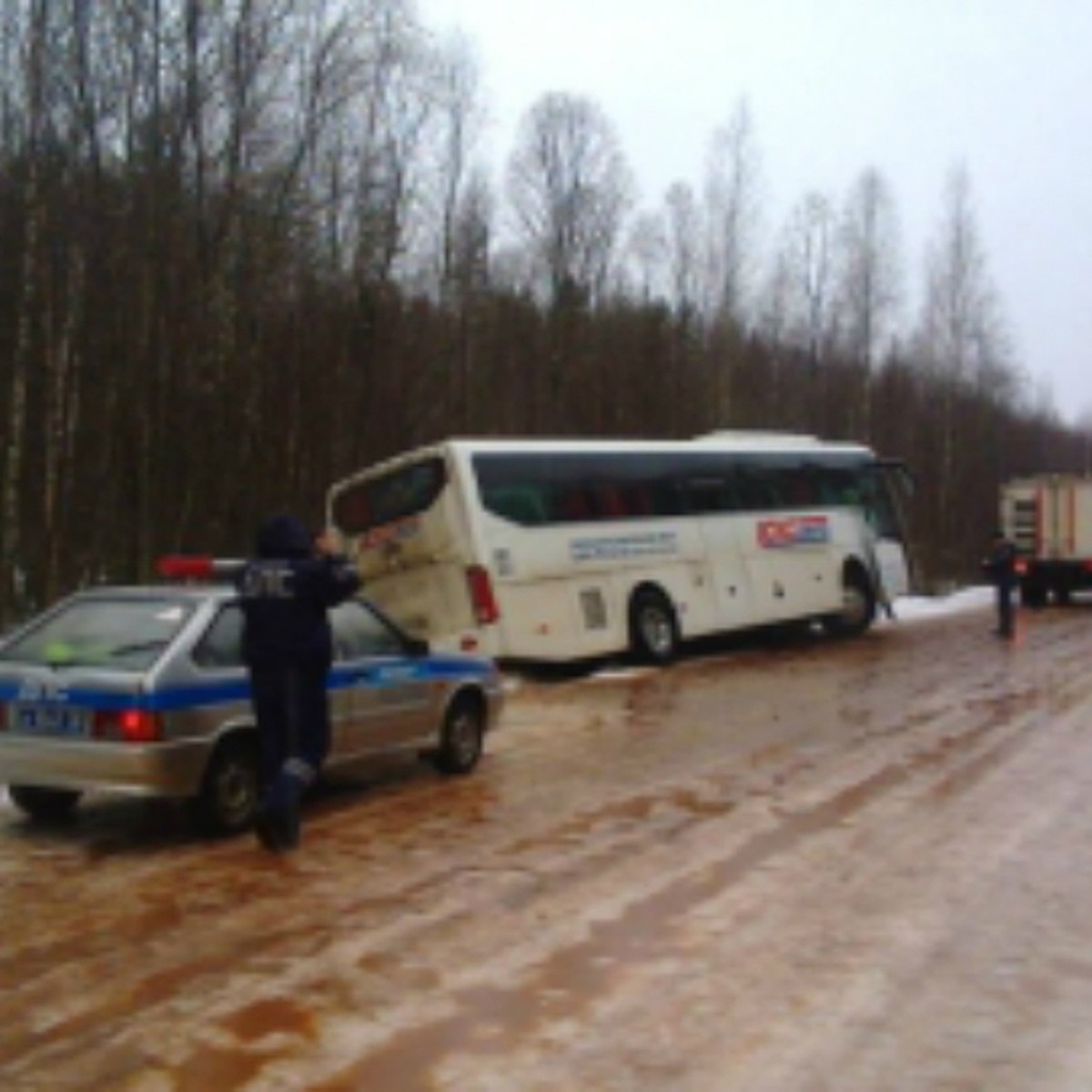 Под Вытегрой автобус слетел в кювет - KP.RU