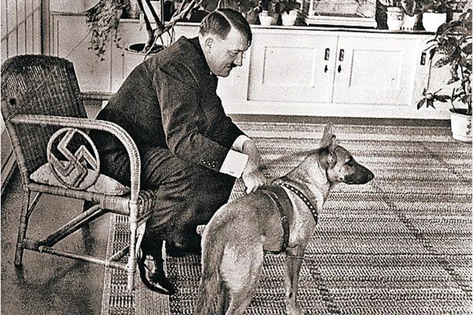 Гитлер с любимой овчаркой Блонди. 1944 год.
