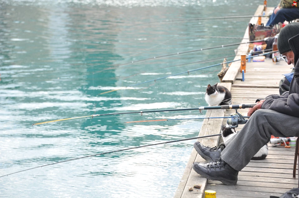 - Так где рыба, мужики?!