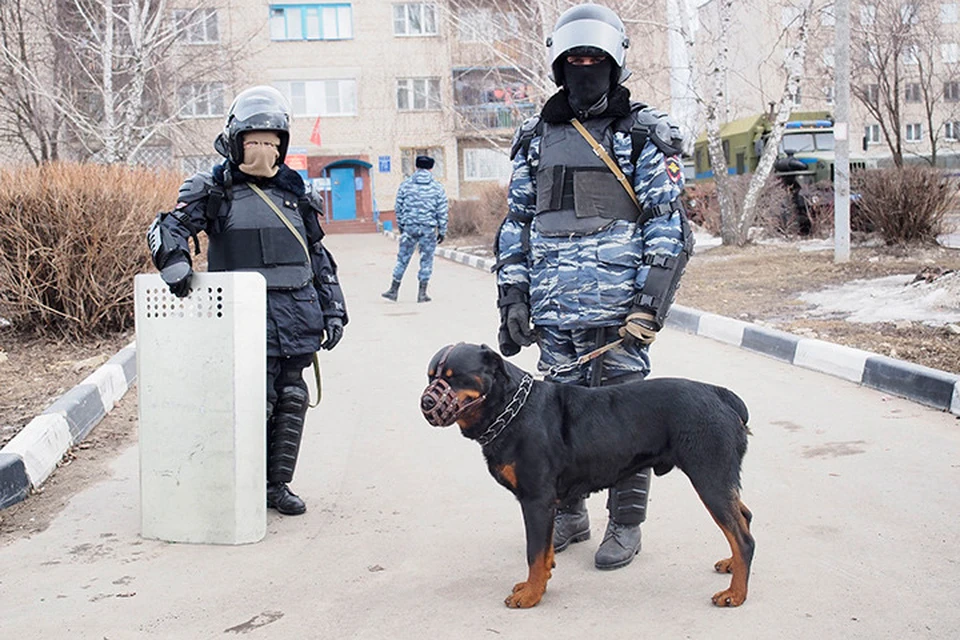 Конфликт в поселке Плеханово, где на протяжении 15 и 16 марта цыгане мешали сотрудникам газовой службы ликвидировать незаконные врезки в общую газовую трубу, получил продолжение