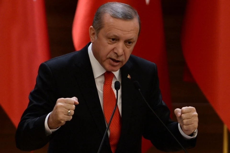 Президент Турции Реджеп Тайип Эрдоган очень болезненно воспринимает любую критику в свой адрес
