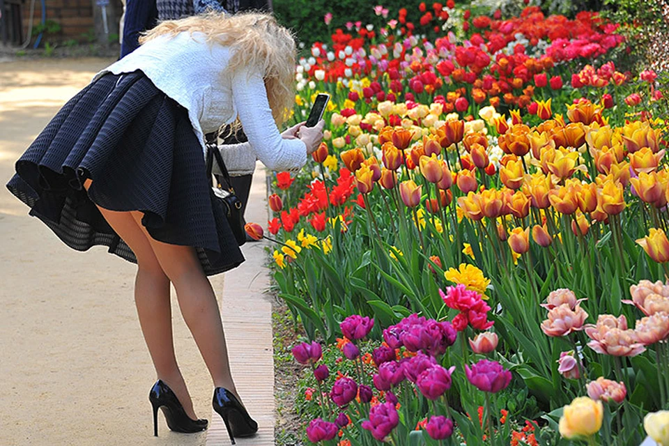 Москвичи увидят около 9 миллионов садовых цветов