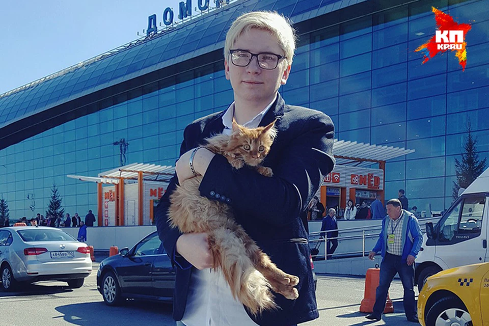 Московский блогер взялся за спасение травмированного кота из Бурятии