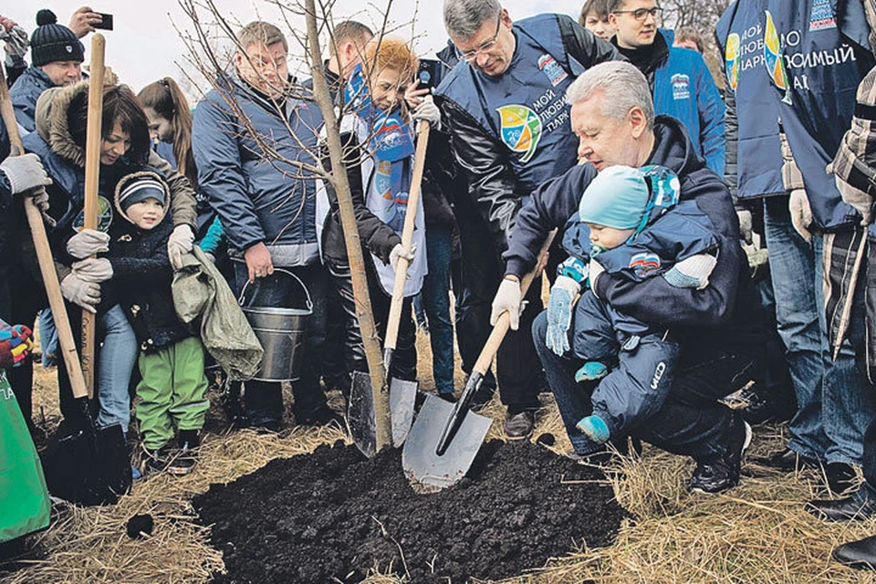 Сергей Собянин сажал деревья с юным москвичом. Фото: Евгений САМАРИН/mos.ru