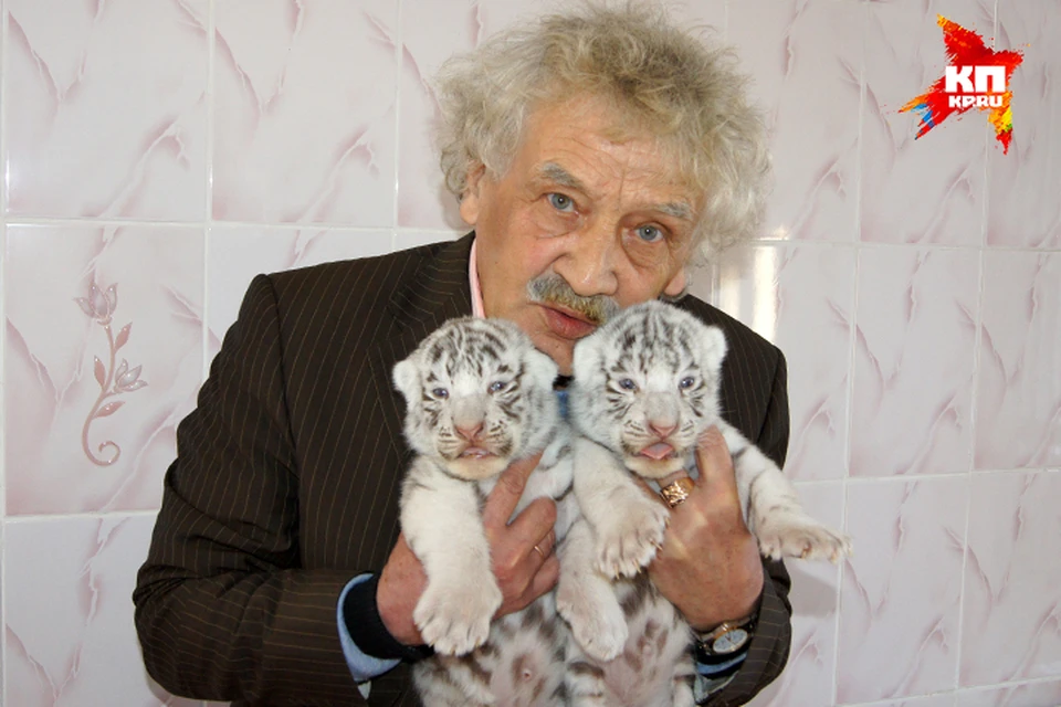 Ростислав Шило с белыми тигрятами - к этим хищным кошкам директор зоопарка испытывал особую слабость. Фото: предоставлено Новосибирским зоопарком