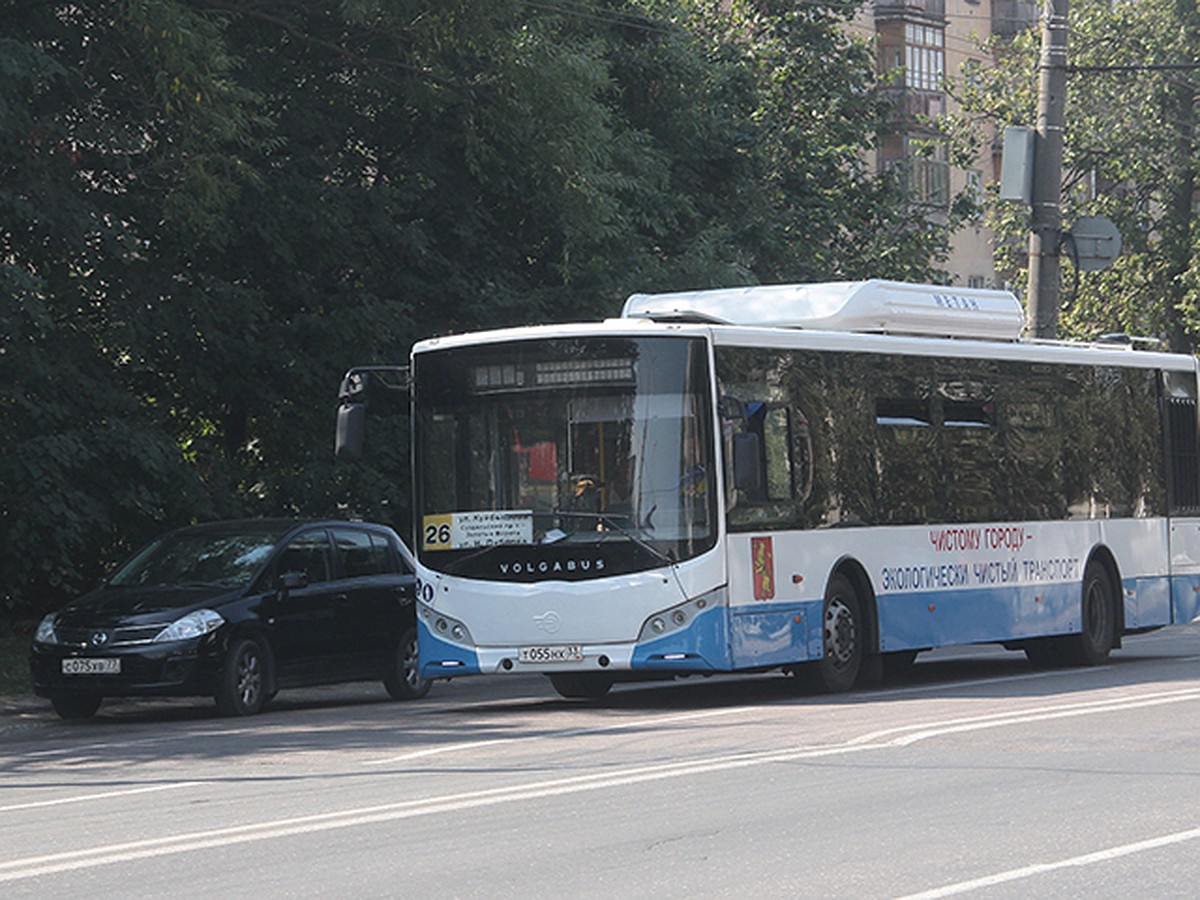 Вечернее расписание движения владимирских автобусов - KP.RU