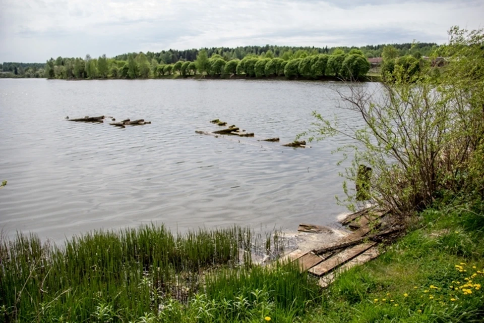 Девочка на местном водоеме