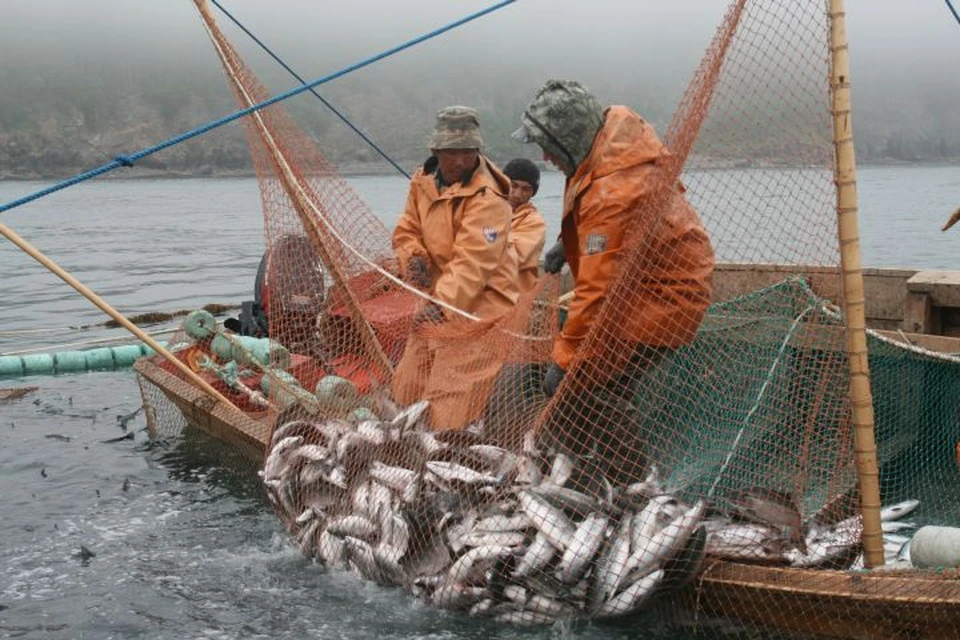 фото: комитет по рыбаловству Хабаровского края