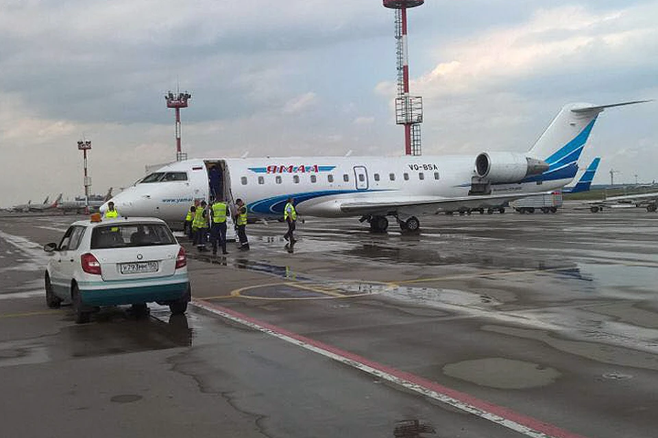 Самолет рейсом "Москва-Мурманск" успешно сел в 14.56 по мск времени в аэропорт Домодедово. ФОТО Пресс-служба аэропорта