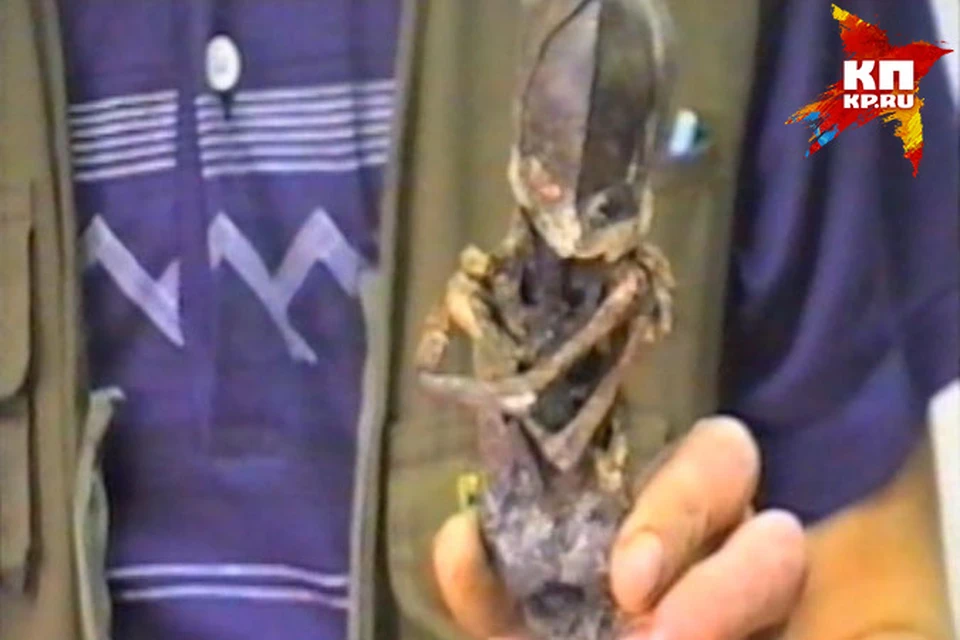 20 лет назад эта мумия исчезла при загадочных обстоятельствах Фото: Владимир БЕНДЛИН
