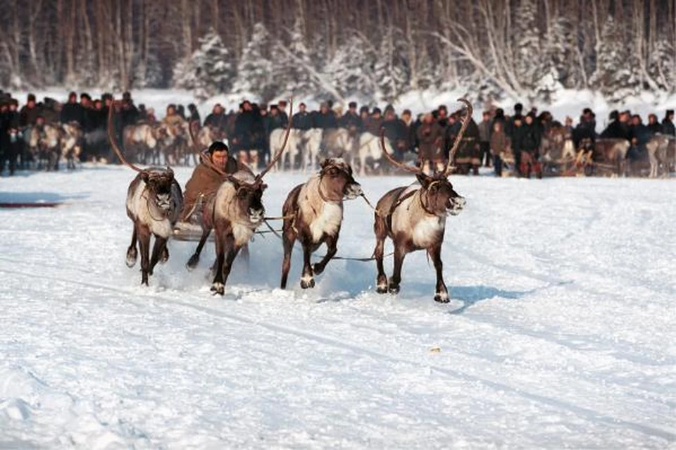 В Нижневартовском районе развивают спорт коренных народов Севера. Фото: правительство ХМАО