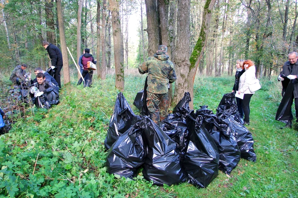 В поселке Рождественский под Тулой собрали более 30 мешков мусора!