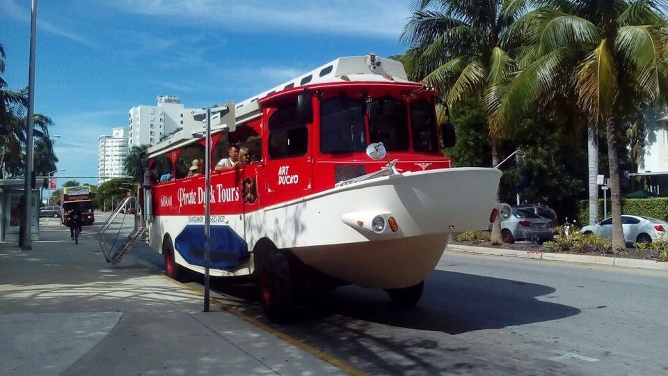 Там выглядят автобусы-амфибия в Майами (Фото: Данила Семенов)