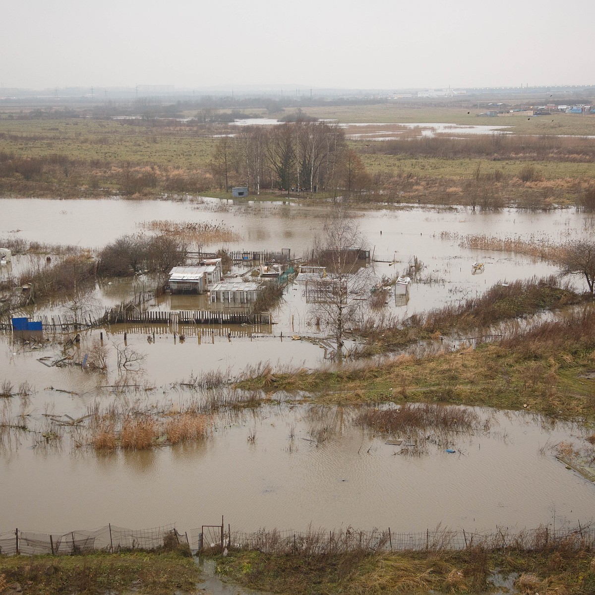 В Пушкинском районе под воду уходит братская могила солдат ВОВ - KP.RU