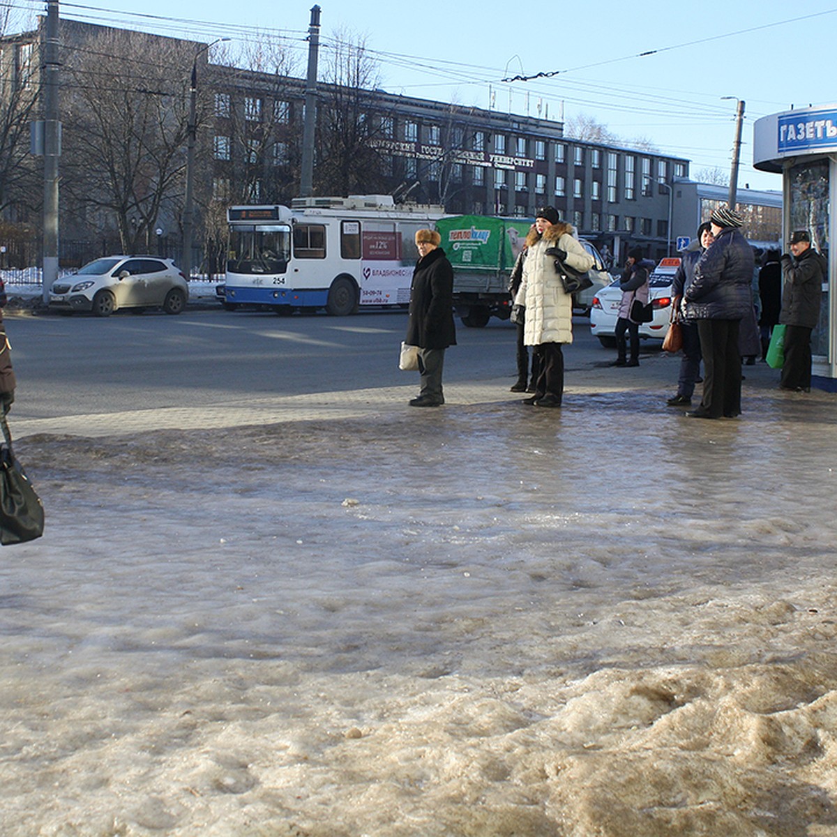 Владимир зарастает льдом - KP.RU