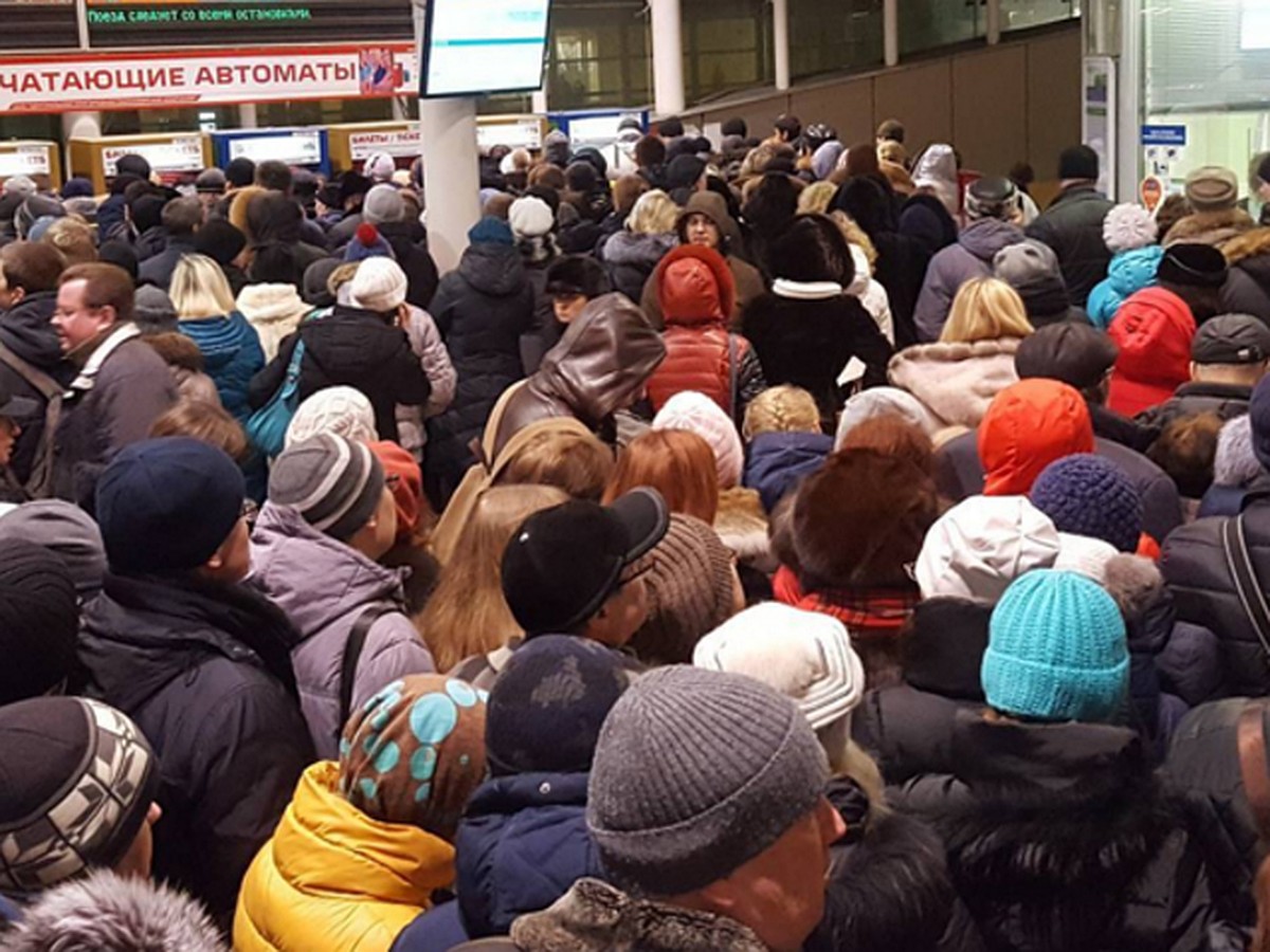 Коллапс в метро: Фиолетовая ветка оказалась парализована после гибели  мужчины на станции 