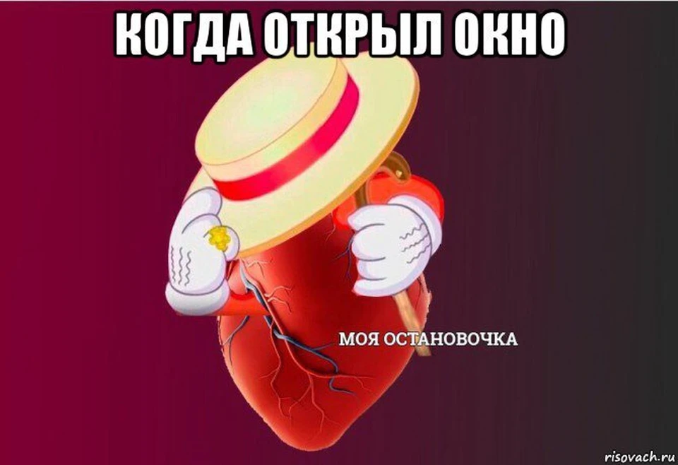 Твои Фото Они