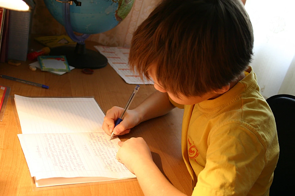 Восьмилетний сын на каждый родительский "косяк" оригинально отвечает - пишет жалобные письма Путину