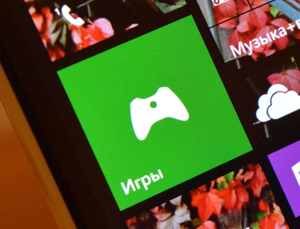 Информацию о создании динамита в игре Minecraft запрещенной на территории РФ