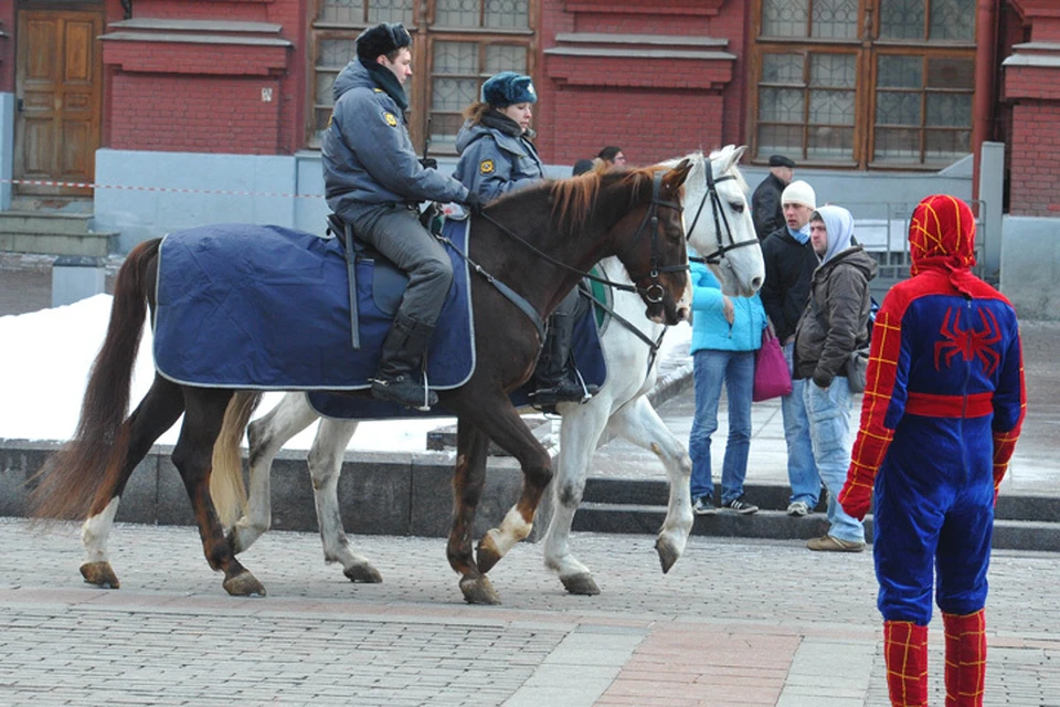 Лошадка москва. Конная полиция в Москве. Москва 24 Конная полиция. Лошади в Москве. Полиция на лошадях в Москве.