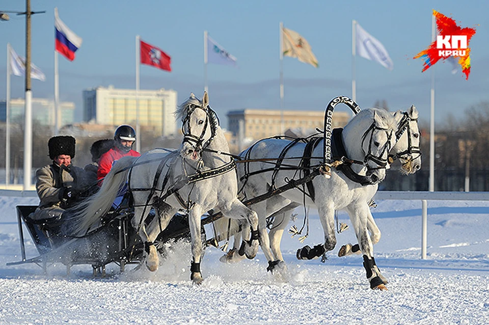 Работает ли тройка в питере. Ипподром зима белая тройка. Тройка фото.