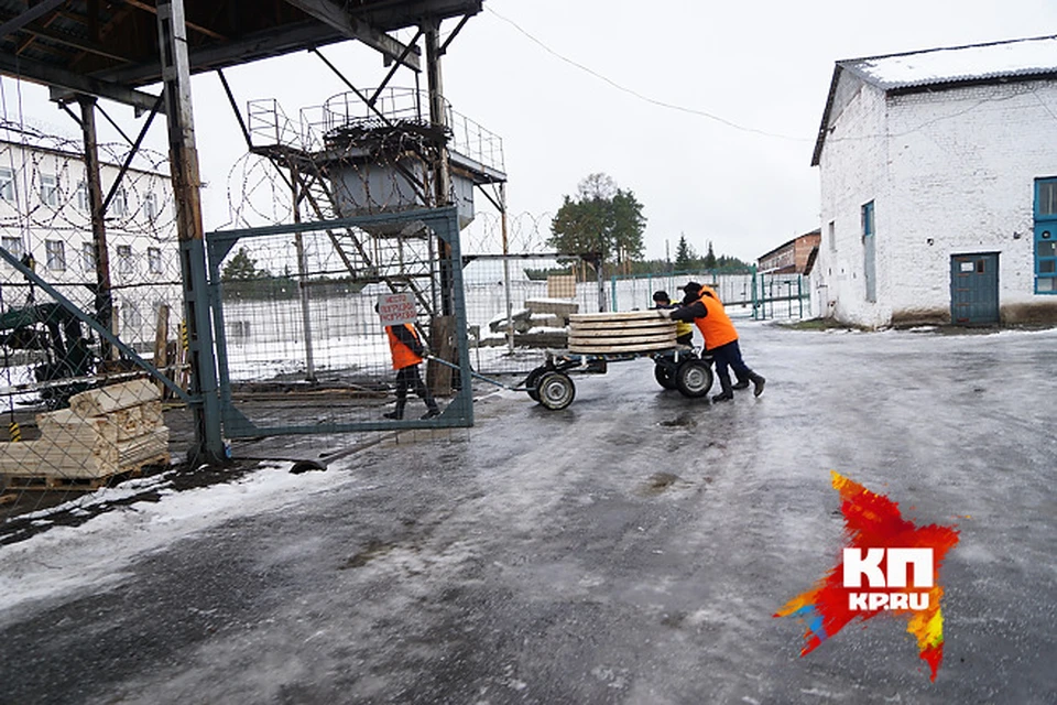 Исправительная колония строгого режим №54 в г.Новая Ляля, где содержится Дмитрий Лошагин