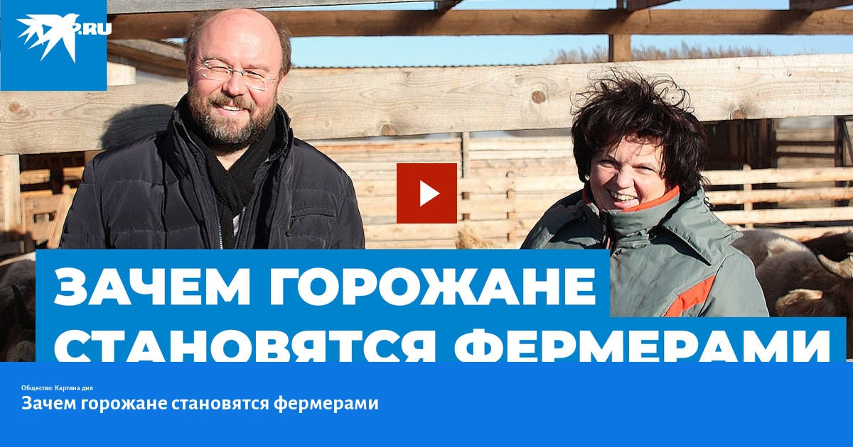 горнверк. стать горожанина. стать горожанина. занятия горожан. занятие горожан 17 века.