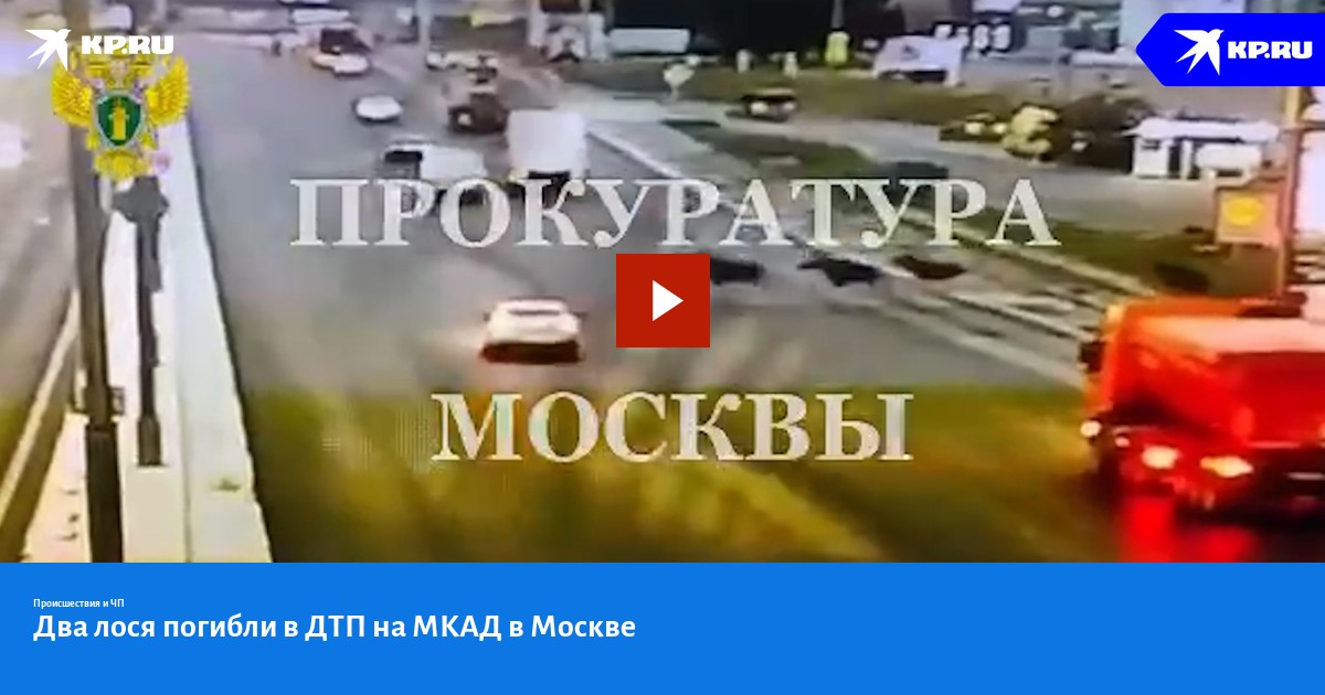 Карта лось москва