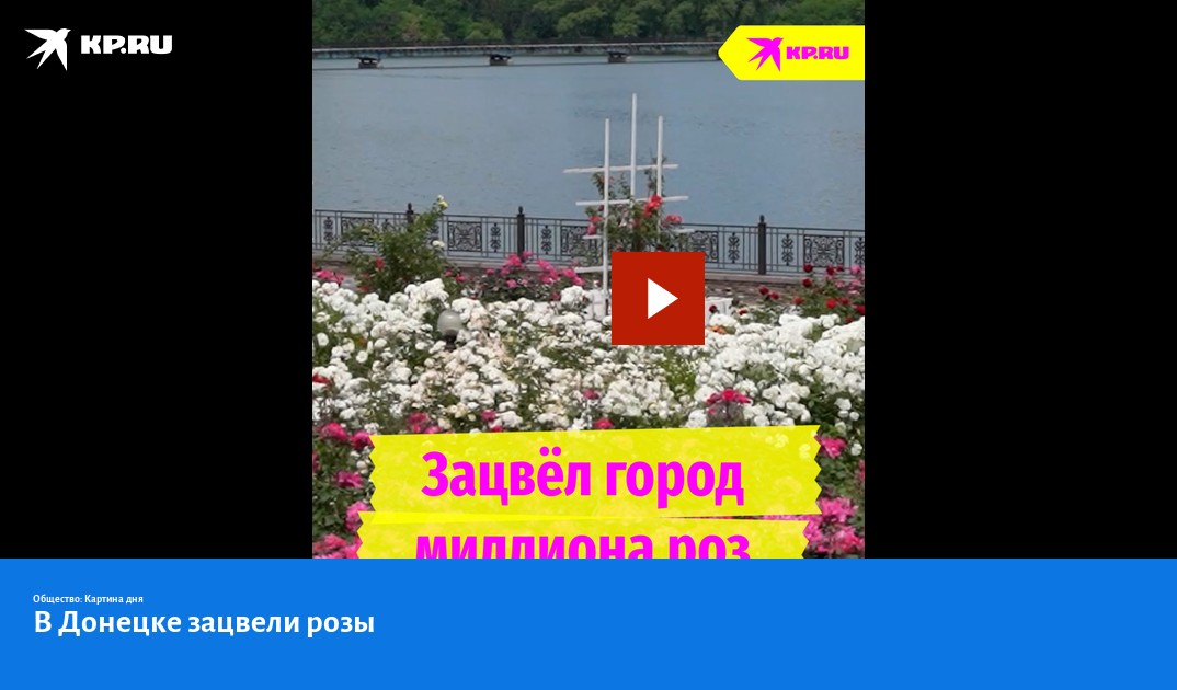 Рисунки донецк город роз