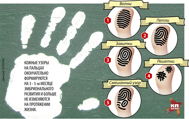 Характер по отпечаткам пальцев с картинками