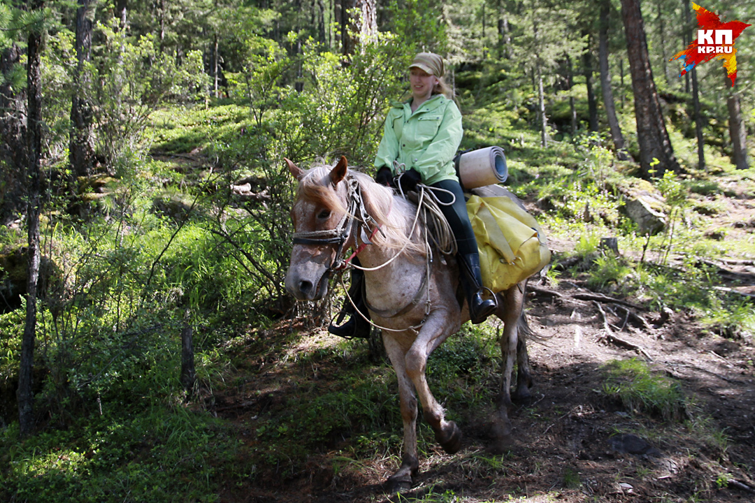 Конные туристы