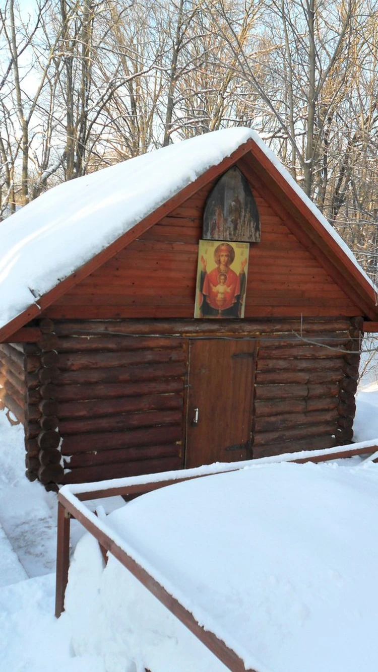 Обратиться к святыням: купели Воронежской области - KP.RU