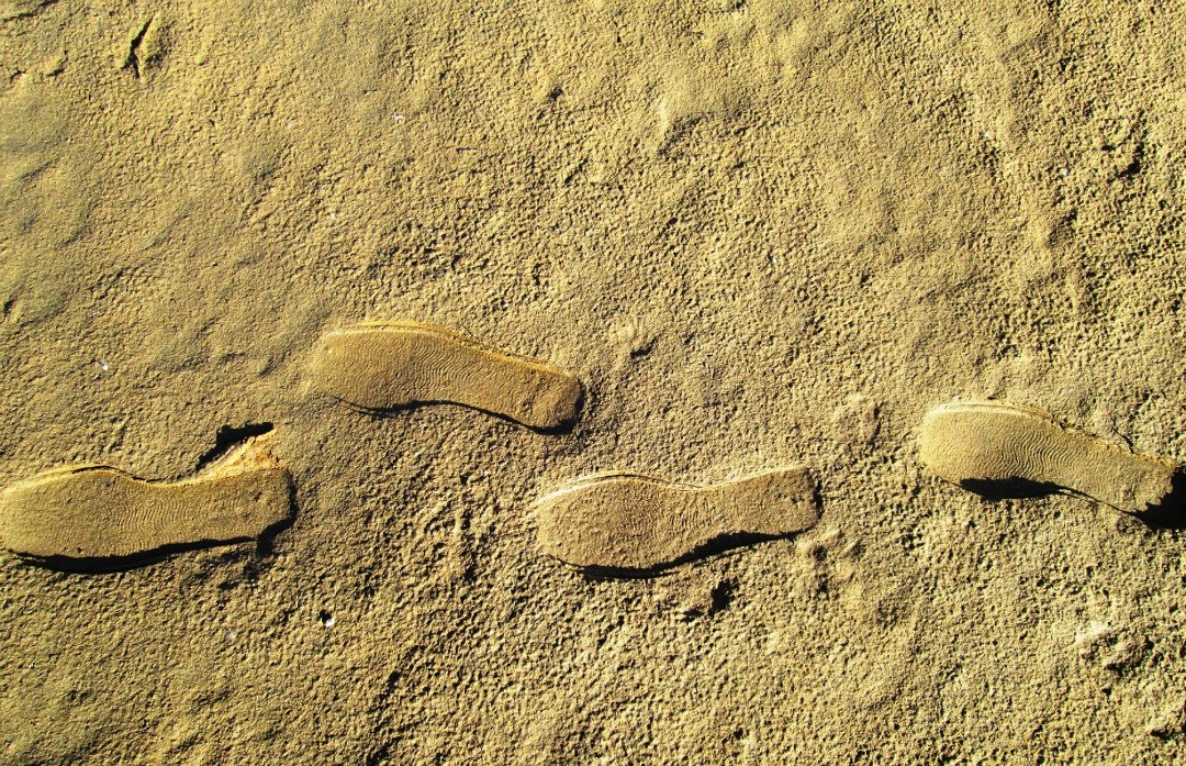 Следы в прошлое. Фото: Татьяна Вавилова