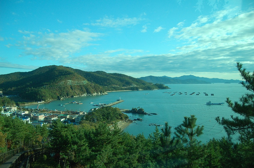 Фото: pixabay.com