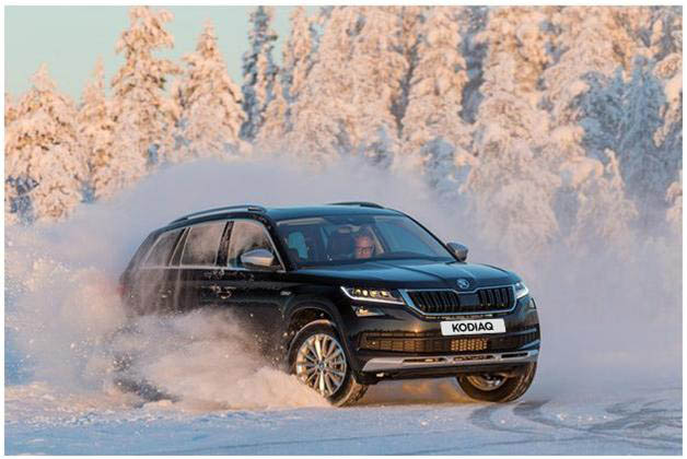Адаптивная подвеска KODIAQ повышает комфорт на зимних трассах. Фото: Волга-Раст-Октава.