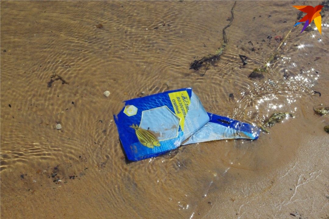 Весело плещется в воде жёлтый полосатик