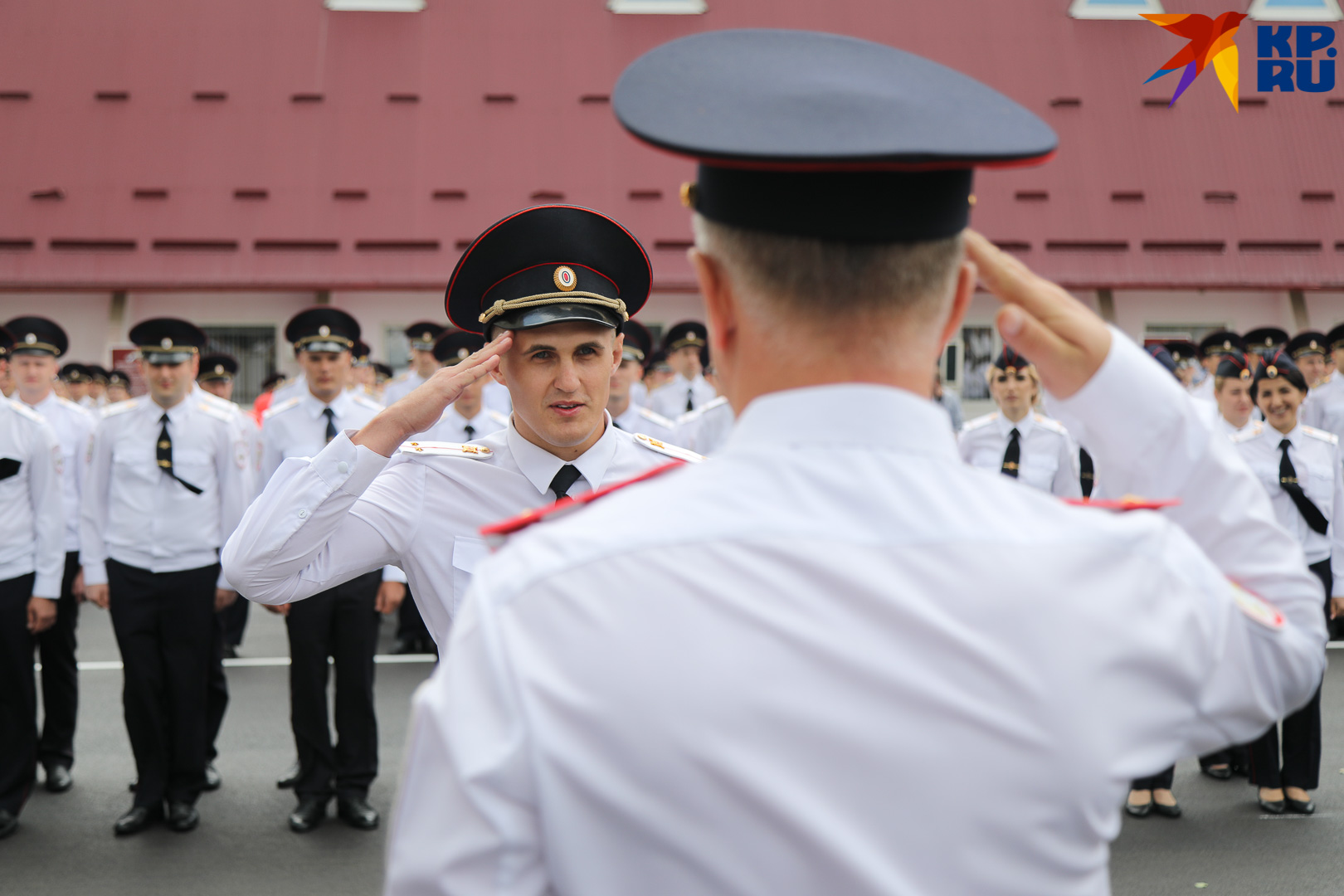 Выпуск мвд 2019