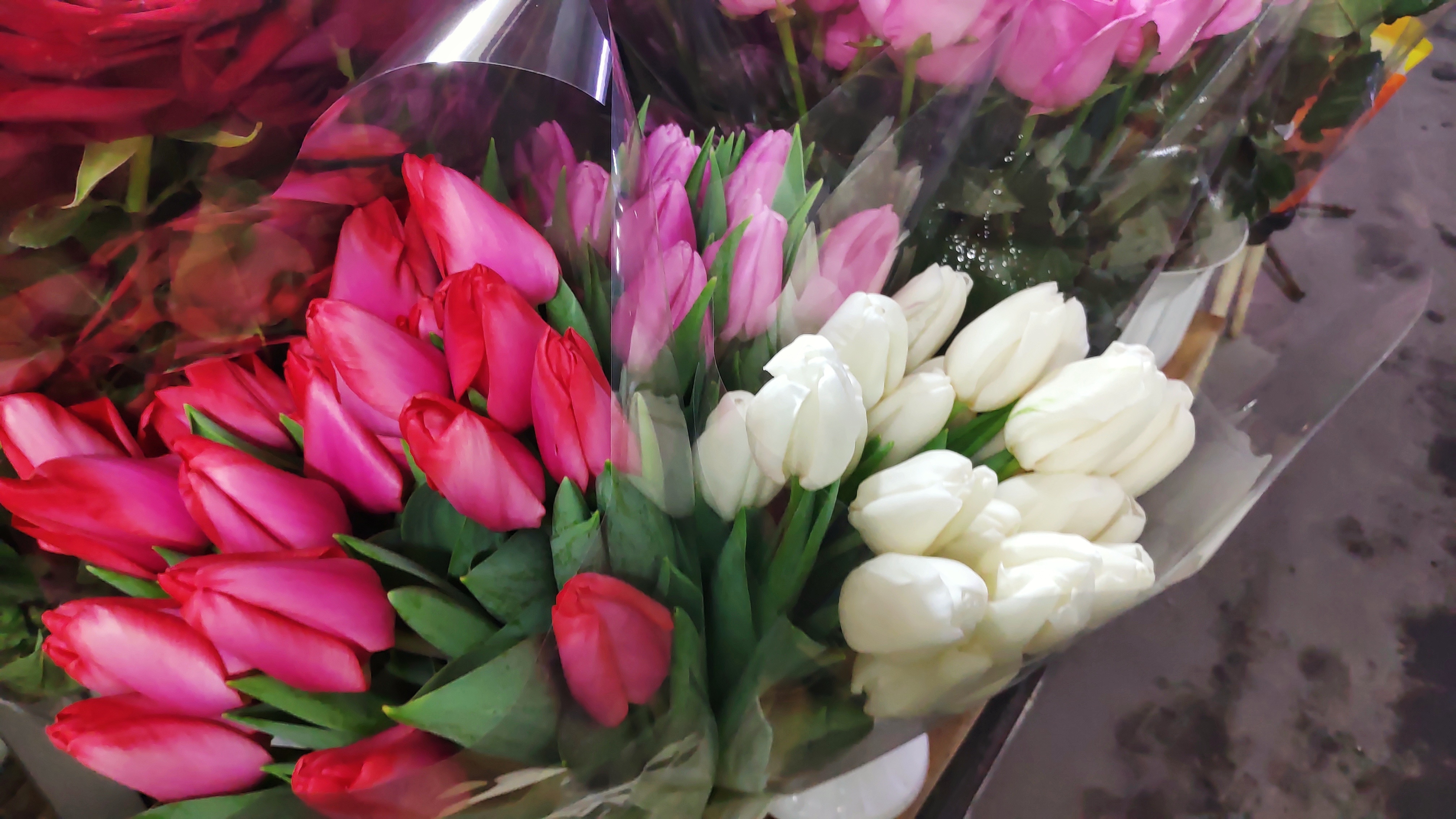20 тюльпанов можно дарить. Букеты с тюльпанами и Поларком дома. Цветы на подарок в Симферополе.