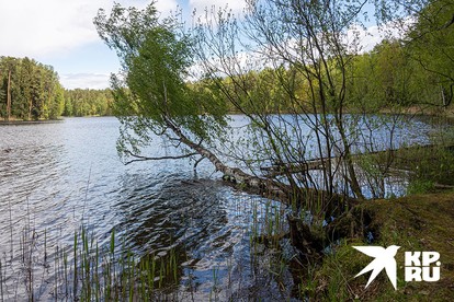 Кругом Луковое озеро не обойти - местность слишком болотистая.