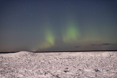 Чаще всего его наблюдают осенью и зимой / Фото: Александр Спиридонов