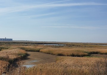 Уровень воды продолжает падать в Дону и в реках его бассейна. Фото: Виктория Лебедева, vk.com/rostovnadonu