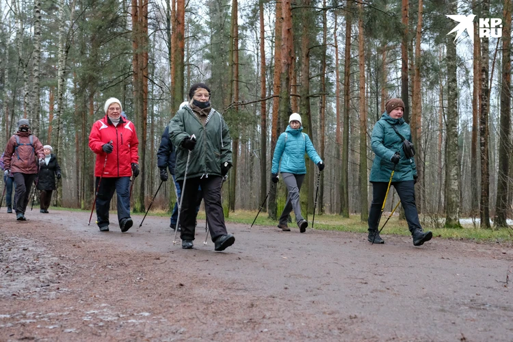 Nordic Walking путешествия