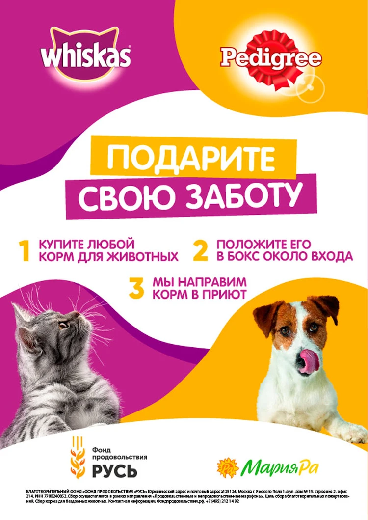 Подарите свою заботу»: посетители магазинов «Мария-РА» смогут принять  участие в сборе корма для животных из приютов - KP.RU