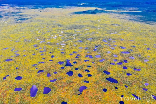 Козьянские болота на Витебщине называют